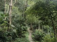 -上海佘山国家森林公园西佘山园