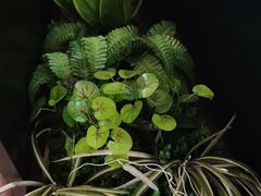 -比格比萨自助(花园路店)