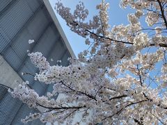 -龙美术馆(西岸馆)