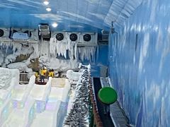 -世界之窗阿尔卑斯冰雪世界