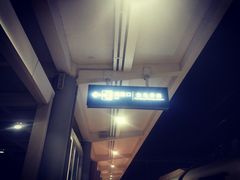 -海口东站