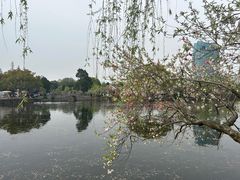 -无锡蠡湖国家湿地公园-蠡园