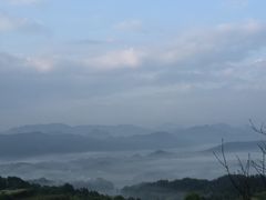 -桃花姐假日酒店·桃花潭土菜馆