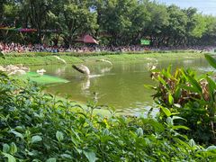 -广州长隆飞鸟乐园