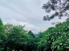 -广州国际生物岛山地公园揽胜园