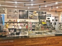 -油梨树 AVOCADO TREE(亮马桥店)