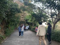 -小南山公园