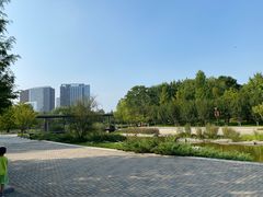 -大望京公园