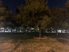 -八宝山(地铁站)