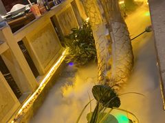 -蜀江龙火锅(339店)
