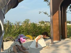 -杭州湾海上花田景区