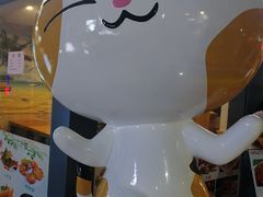 -猫咪博物馆(顶澳仔猫街店)