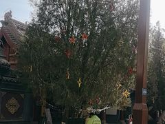 -张掖大佛寺景区