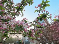 -元大都城垣遗址公园