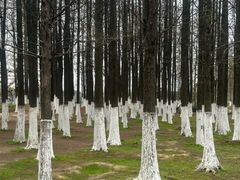 -艾溪湖湿地公园