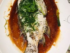 -陶陶居海鲜酒家(新马路店)