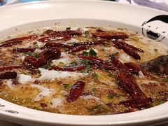 -首秀·四川料理(吾悦广场店)