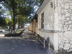 -东莞市大岭山森林公园