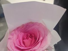 -清心鸡沙田乳鸽店·非遗传承(粤垦路店)