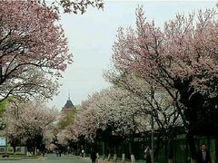 -吉林大学(南岭校区)