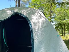 -春花秋色城市公园