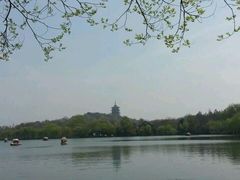 -西湖外事游船(花港观鱼码头)