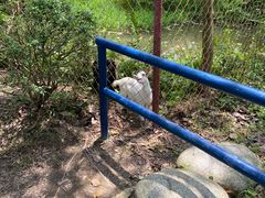 -广东花都香草世界旅游度假区