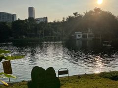 -晓港公园