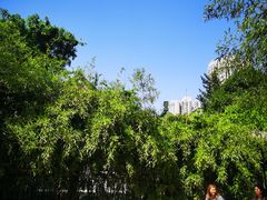 -万寿八仙宫