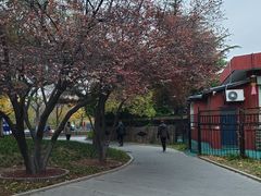 -丰台花园