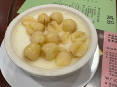 -南信牛奶甜品专家