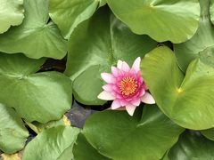 -大连植物园