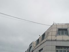 -岳各庄批发市场(西四环中路店)