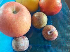 -惠州金海湾嘉华度假酒店