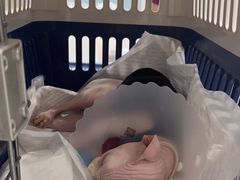 -纳吉亚猫专科动物诊疗中心(蒋宅口分院)