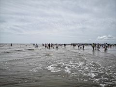 -奉贤海滩