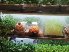 -鲜货俚鲜火锅(青果路店)