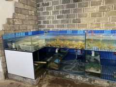 水产区-小时候焗海鲜(鄞州万达店)