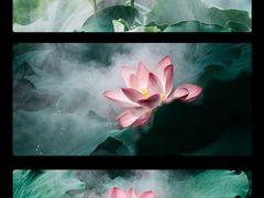 -厦门园林博览苑