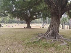 -荔香公园