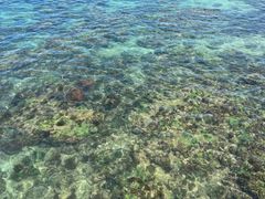 -三亚西岛海洋文化旅游区