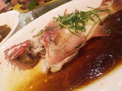 -新世纪大酒楼·30年南海菜