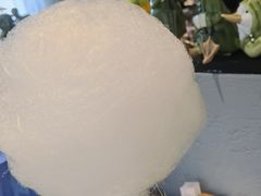 盆栽棉花糖-小大董·烤鸭(观景餐厅·南京西路店)