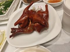 -新雅粤菜馆(南京东路店)