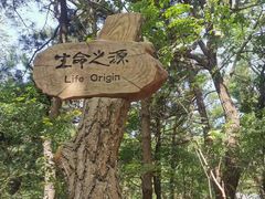 -燕窝岭