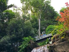 -吉隆坡国际机场