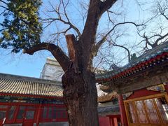 -贤良祠