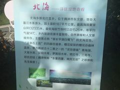 -腾冲洞山温泉村