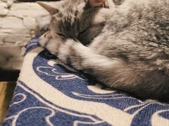 -不舍昼夜咖啡馆