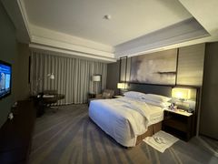 -舟山希尔顿酒店